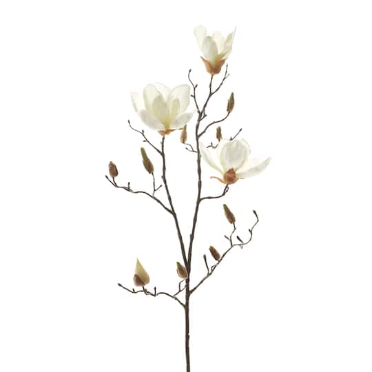 White Magnolia Branch Stem by Ashland&#xAE;